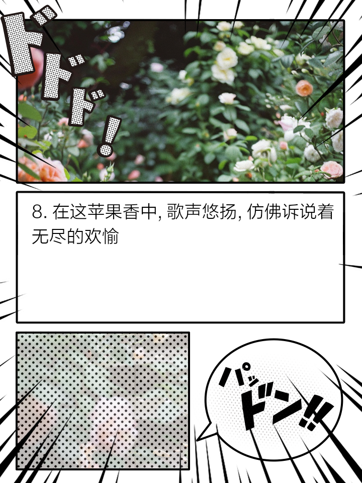 苹果版歌声(iphone歌)-第1张图片-QuickQ官网 苹果版歌声(iphone歌)-第1张图片-QuickQ官网