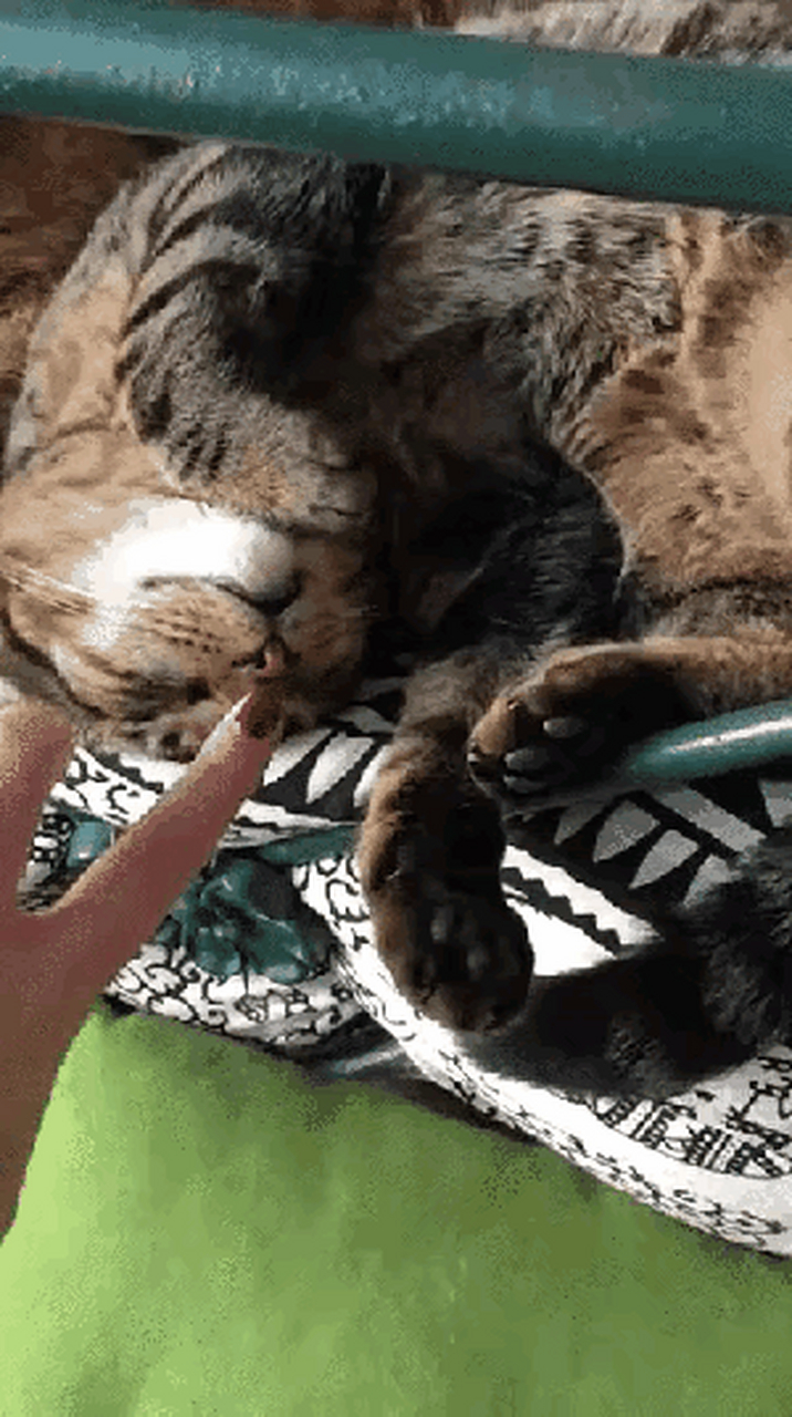 包含yaotou手机版的词条-第5张图片-QuickQ官网 包含yaotou手机版的词条-第5张图片-QuickQ官网