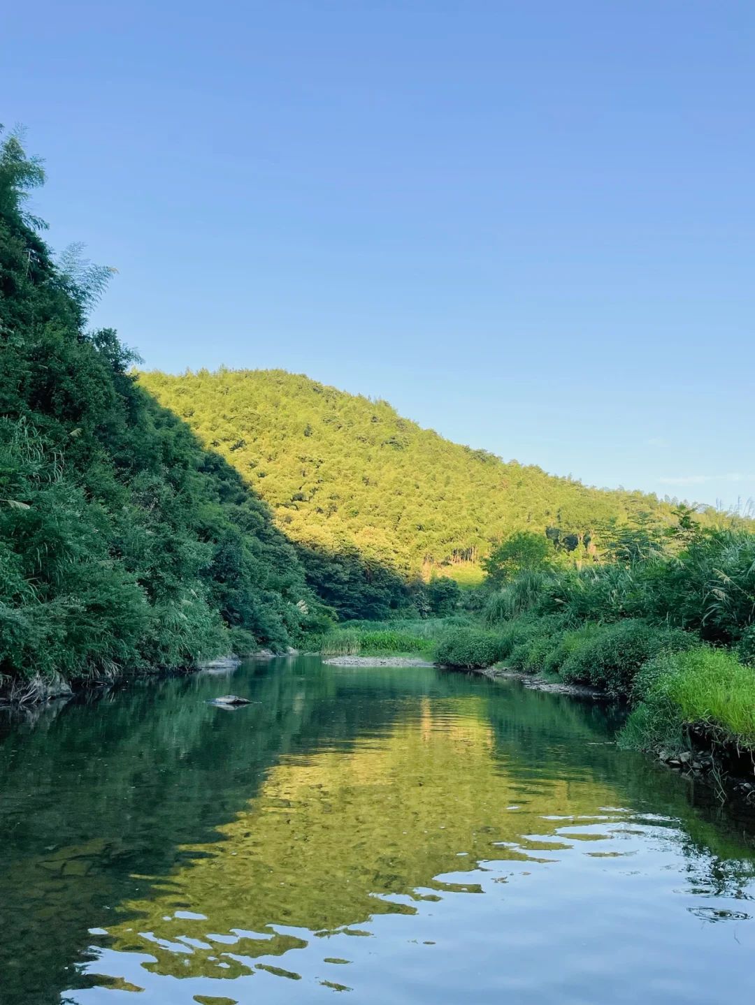 株洲打蚂子手机版(株洲同城游打麻子免费下载)-第1张图片-QuickQ官网