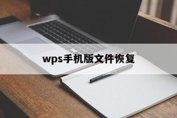 wps手机版文件恢复(手机wps如何恢复保存前的数据)-第3张图片-QuickQ官网 wps手机版文件恢复(手机wps如何恢复保存前的数据)-第3张图片-QuickQ官网