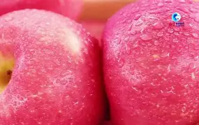 苹果版kinolar(ozbekkinolar)-第3张图片-QuickQ官网