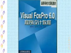 visualfoxpro手机版(visualfoxpro是干嘛的)-第2张图片-SafeW