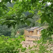 妙光山居手机版(妙颜手机app下载)-第2张图片-SafeW
