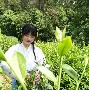 妙光山居手机版(妙颜手机app下载)-第4张图片-SafeW