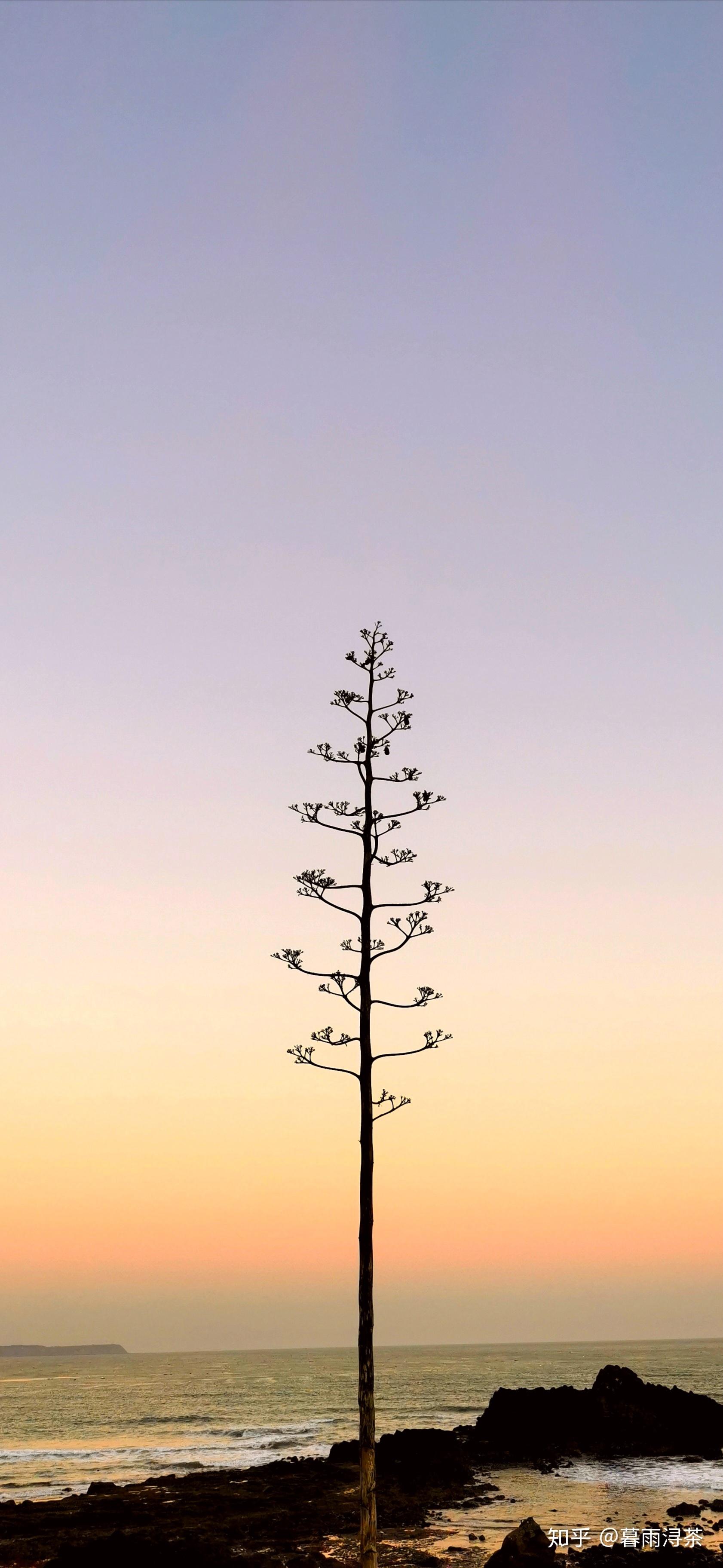 美玩吧手机版(美玩吧手机版官网)-第3张图片-QuickQ官网