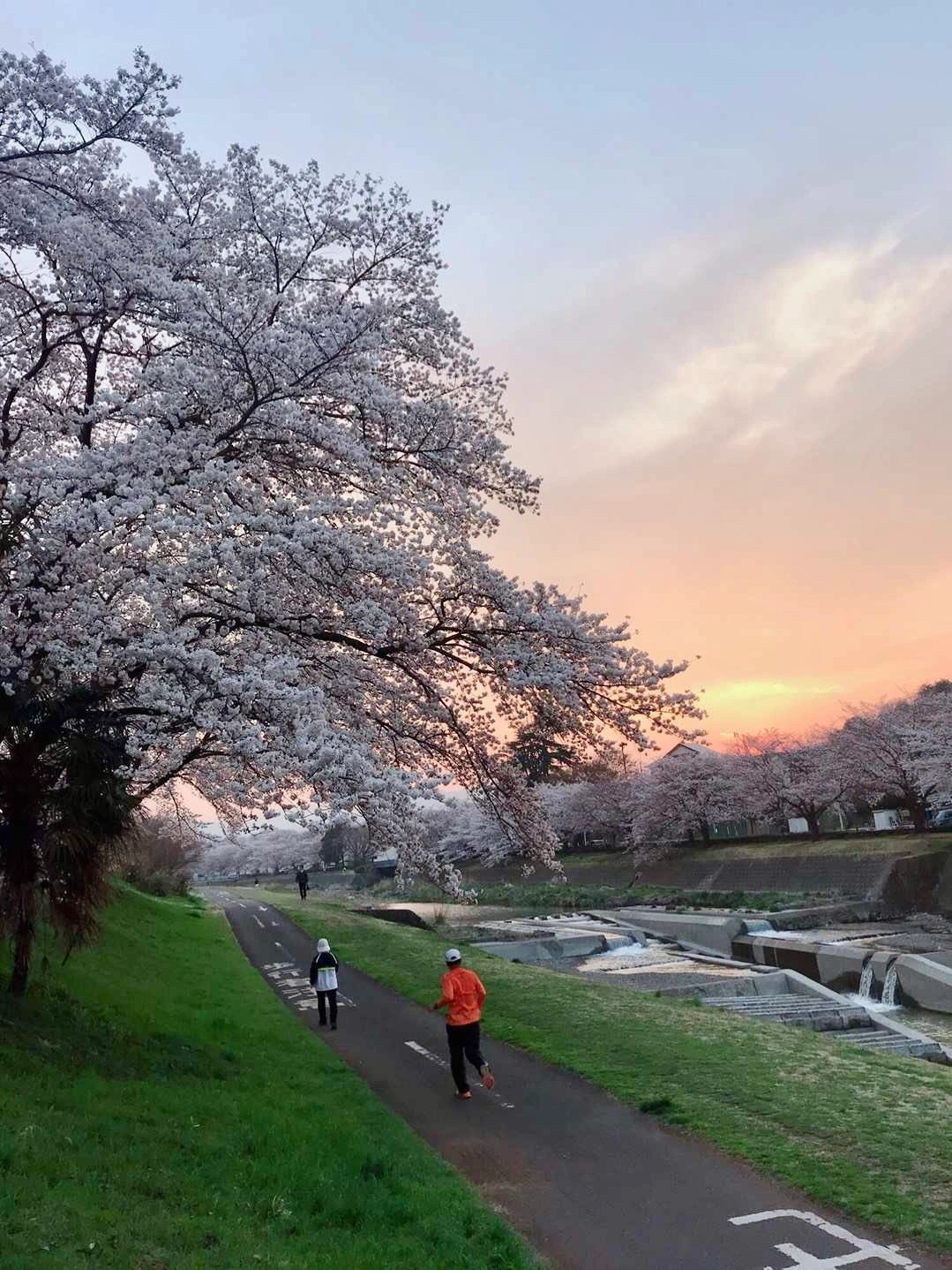 包含热之国产手机版的词条-第1张图片-QuickQ官网