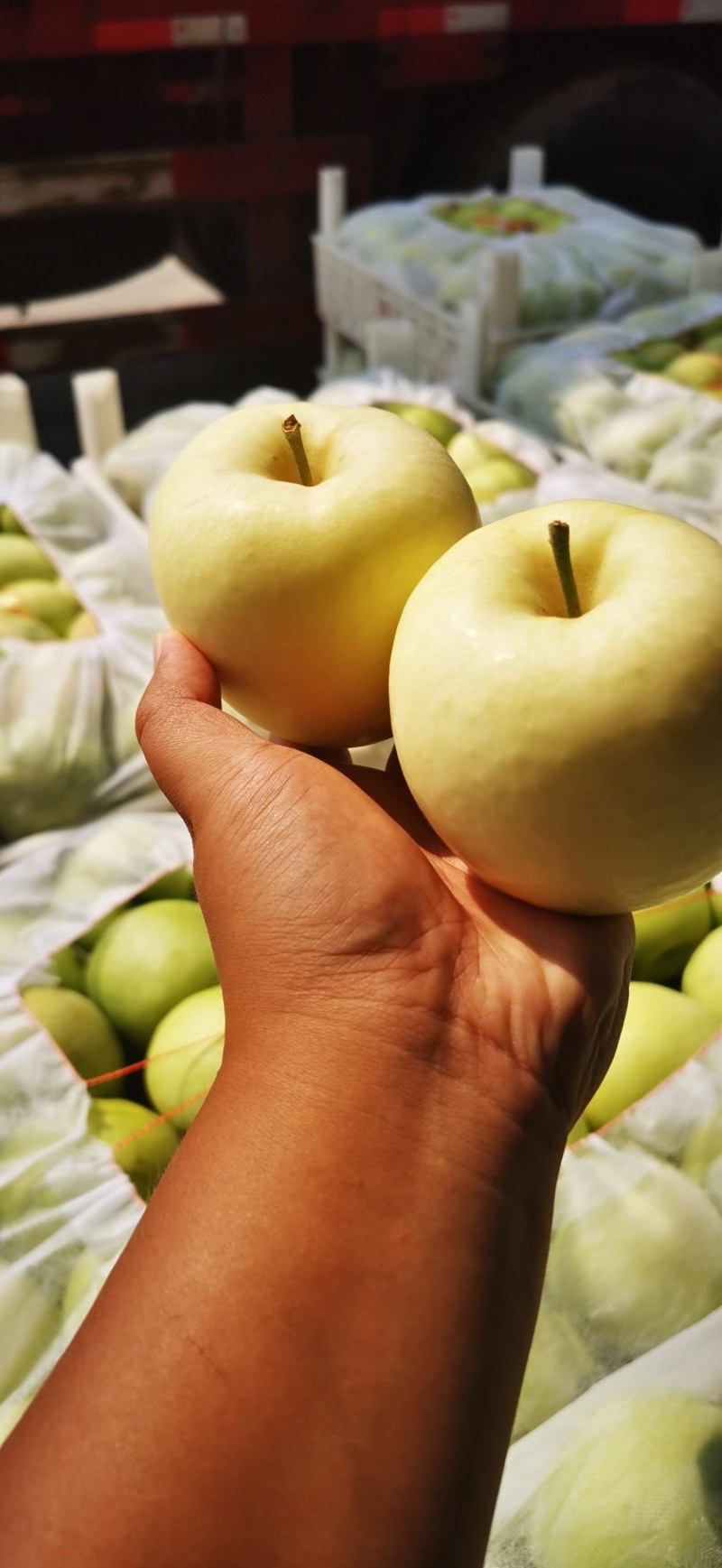 国企版苹果(国企苹果手机)-第3张图片-QuickQ官网