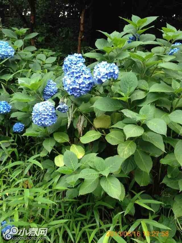 小春网手机版(小春网广告用户怎么办)-第5张图片-QuickQ官网